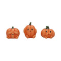 Three Wise Pumpkins